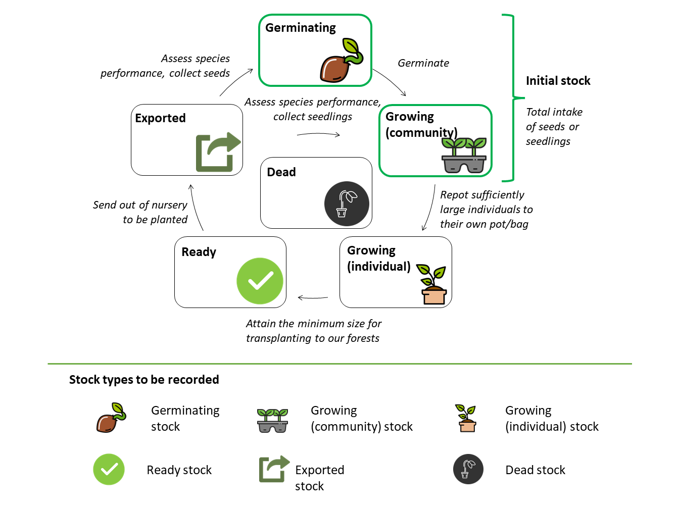 Pictoral guide to the different stock types recorded in the nursery inventory.
